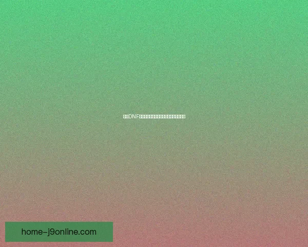 探索DNF徽章镶嵌颜色搭配技巧提升角色属性解析